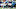 Carolina Panthers Carolina Panthers