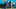 Carolina Panthers Carolina Panthers