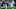 Carolina Panthers Carolina Panthers