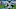 Carolina Panthers Carolina Panthers