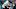 Carolina Panthers Carolina Panthers