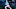 Carolina Panthers Carolina Panthers