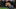 Carolina Panthers Carolina Panthers