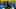 Carolina Panthers Carolina Panthers