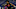 Carolina Panthers Carolina Panthers