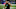 Carolina Panthers Carolina Panthers