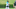 Carolina Panthers Carolina Panthers