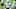 Carolina Panthers Carolina Panthers