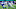 Carolina Panthers Carolina Panthers