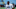 Carolina Panthers Carolina Panthers