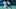 Carolina Panthers Carolina Panthers