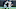 Carolina Panthers Carolina Panthers
