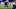 Carolina Panthers Carolina Panthers