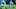 Carolina Panthers Carolina Panthers