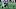 Carolina Panthers Carolina Panthers