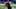 Carolina Panthers