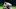 Houston Astros, Albert Pujols Houston Astros, Albert Pujols