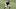 Houston Astros, Jeremy Pena