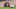 Houston Astros, Peter Solomon Houston Astros, Peter Solomon