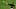 Houston Astros, Richard Rodriguez Houston Astros, Richard Rodriguez