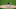 Houston Astros, Kit Scheetz