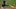 Houston Astros, Alex Bregman Houston Astros, Alex Bregman