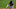 Houston Astros, Yordan Alvarez Houston Astros, Yordan Alvarez
