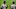Houston Astros, Kyle Tucker