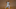 Houston Astros, Jason Castro Houston Astros, Jason Castro