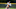Houston Astros, Jose Siri Houston Astros, Jose Siri