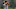 Chicago Cubs Chicago Cubs
