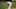 Carlos Martinez / Cardinals