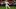 Nolan Arenado / Cardinals Nolan Arenado / Cardinals