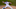Chicago Cubs Chicago Cubs