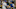 Chicago Cubs Chicago Cubs