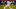 Chicago Cubs Chicago Cubs