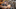 PHOENIX, AZ – SEPTEMBER 24: Chris Herrmann PHOENIX, AZ – SEPTEMBER 24: Chris Herrmann