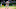 Chicago Cubs