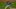 Chicago Cubs