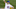 Chicago Cubs Chicago Cubs