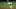 Chicago Cubs Chicago Cubs