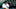 Chicago Cubs Chicago Cubs