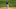 Chicago Cubs Chicago Cubs