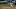 Chicago Cubs Chicago Cubs
