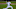 Chicago Cubs Chicago Cubs