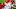 Chicago Cubs Chicago Cubs