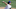 Chicago Cubs Chicago Cubs