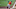 Chicago Cubs / George Springer