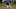 Chicago Cubs Chicago Cubs