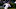 Emilio Bonifacio / Chicago Cubs Emilio Bonifacio / Chicago Cubs